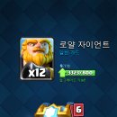 로얄돼지 이미지