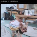 10월 (2) 나는 역지사지를 참 잘해 너네 기분 나쁜거 알면서도 그렇게 말하는거야