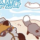 털뭉치살롱