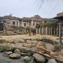 럭키게임장 이미지