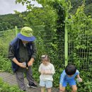 봉오초등학교병설유치원 이미지