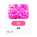 화순이양고등학교 이미지