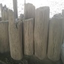 고향참숯