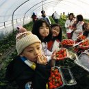 쌍용농장 이미지