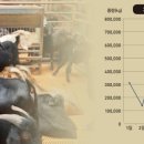 강원도흑염소 이미지