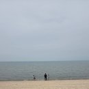 방아머리 | 🏖서울 근교 바다 추천, 대부도 방아머리 해수욕장 후기