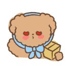 일광척정형외과의원 이미지