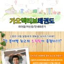 가오엑티브태권도 이미지