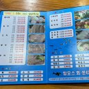 맘모스13호 이미지