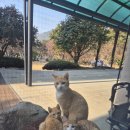 맑은샘센텀병원 이미지