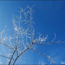 설경산수화 이미지