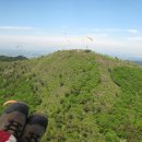 (자)정풍 이미지