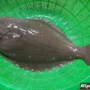 격포항 수산시장 1층 이미지