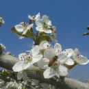 삼오농장 이미지