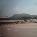 동강막국수