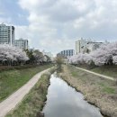 대평천 네이버블로그