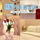 봄봄 | 안동 한옥 봄날애 커플 감성 숙소 봄봄 자쿠지 후기