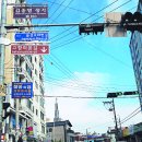 고향의봄길 이미지