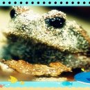 강남보원한의원 이미지