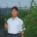 수반농장 이미지