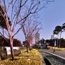 12월11일(목)석촌호수-루미나리에 이미지