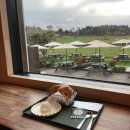 금대목장 | 제주도 아침미소목장 카이막