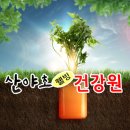 산야초건강원 이미지