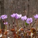 풀 - 전주시 완산구 홍산남로 83-19 | 풀