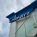 일마레 | 묵호 동해 일마레 펜션 솔직 이용 후기 뚜벅이 스파 가성비 숙소 추천