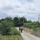 경기둘레길 여주36코스 이미지