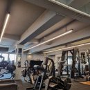 필 휘트니스 이미지