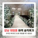 서울 강남 웨딩홀 하객 및 투어 후기 (르비르모어, 소노펠리체, 노블발렌티, 더 베일리 하우스)