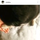 오.빵