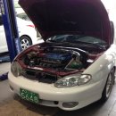 프로미자주카 이미지