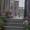 고전 한정식 이미지