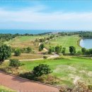 노바골프 이미지