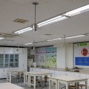 장성중학교 이미지