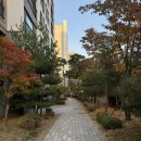 자이1번지(단지내)공인중개사사무소 | 염리동에 가을이 왔어요