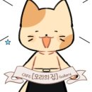 모리스토어
