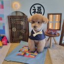 거창미용실 이미지