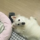몽앤츄 이미지