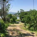 양평전원공인중개사사무소 이미지