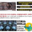 오즈식당