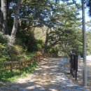 꿈이있는카페 이미지