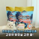 그루밍 솔루션 | 고양이 모래 먼지 때문에 고생이라면? 아메리칸솔루션 카사바 실크니스 내돈내산 정착 후기
