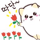 르코르크 이미지