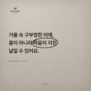거울 속 구부정한 어깨, 몸이 아니라 마음이 지친 날일 수 있어요.