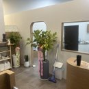 방댕살롱 이미지