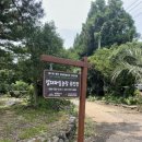 조남농장 | 조남매 제주여행 2일차 유진팡 열대과일체험