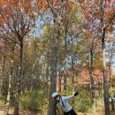 말머리고개 이미지